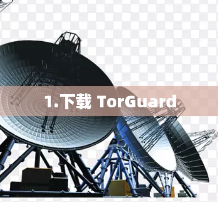 1.下载 TorGuard