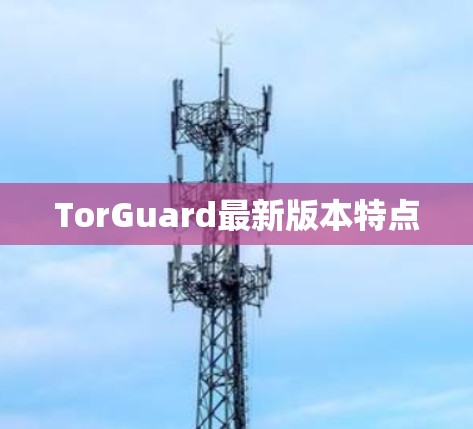 TorGuard最新版本特点