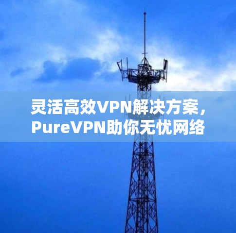 灵活高效VPN解决方案，PureVPN助你无忧网络