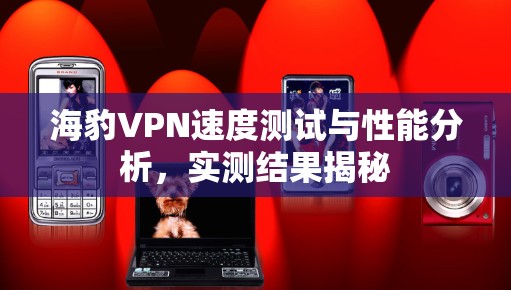 海豹VPN速度测试与性能分析，实测结果揭秘