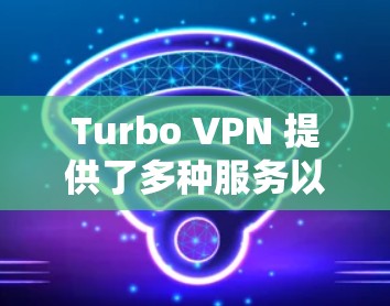 Turbo VPN 提供了多种服务以满足不同用户的需求，包括机场节点和高速线路。以下是对这些服务的详细分析