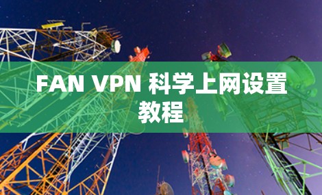 FAN VPN 科学上网设置教程