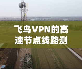 飞鸟VPN的高速节点线路测试可以通过以下步骤进行，确保连接的稳定性和速度。以下是一些常用的测试方法和工具