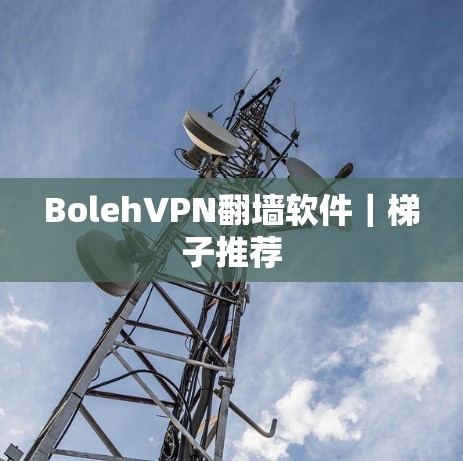 BolehVPN翻墙软件｜梯子推荐