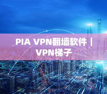 PIA VPN翻墙软件｜VPN梯子