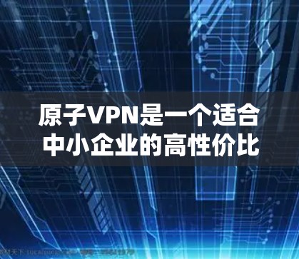 原子VPN是一个适合中小企业的高性价比办公加速解决方案，以下是其主要优势和特点